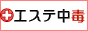 全国風俗エステ・メンズエステ ランキング エステ中毒